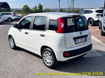 Fiat Panda 1.0 firefly hybrid Icon s&s 70cv (4)