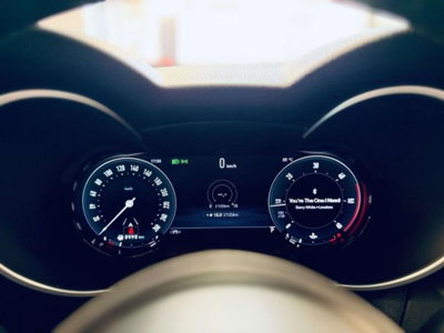 Alfa Romeo Stelvio 2.2 t Veloce rwd 160cv auto (14)