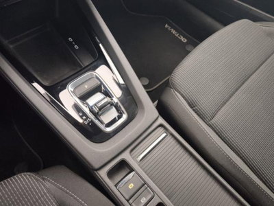 Skoda Octavia Station Wagon 2.0 TDI EVO SCR DSG Wagon Executive (18)