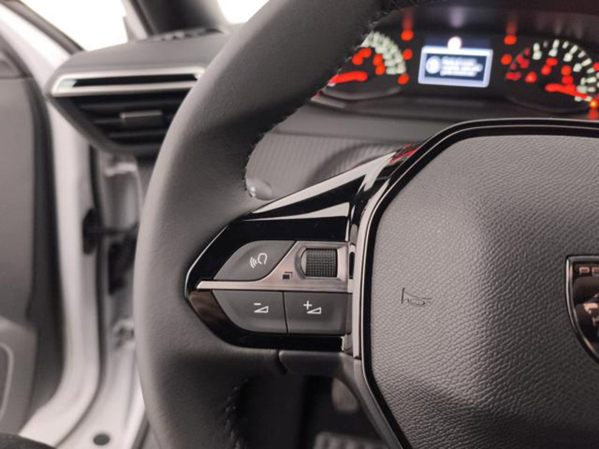 Peugeot 2008 1.2 puretech Style s&s 100cv (15)