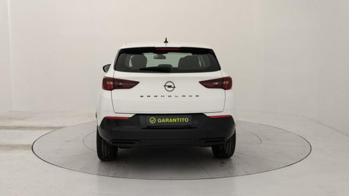 Opel Grandland 1.2 GS s&s 130cv (4)