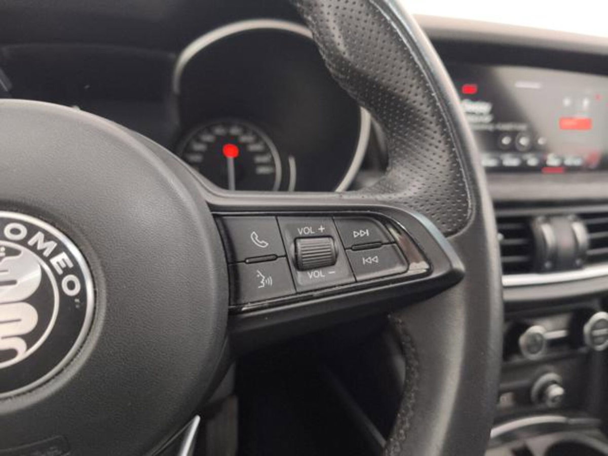 Alfa Romeo Stelvio Stelvio 2.2 Turbodiesel 190 CV AT8 Q4 Super Business (15)