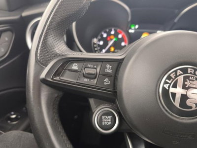 Alfa Romeo Stelvio Stelvio 2.2 Turbodiesel 190 CV AT8 Q4 Super Business (14)