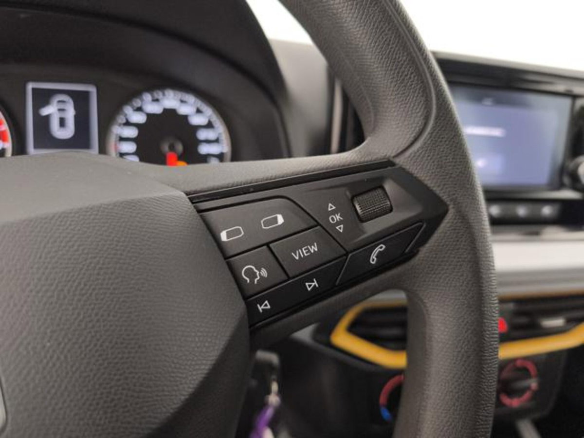 SEAT Ibiza 1.0 TGI 5 porte Reference (15)