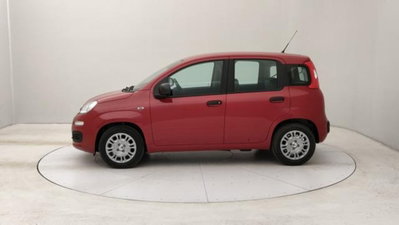 Fiat Panda 1.0 firefly hybrid s&s 70cv 5p.ti (2)