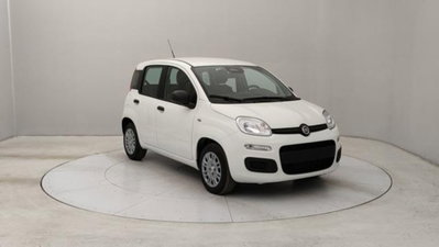 Fiat Panda 1.0 firefly hybrid s&s 70cv 5p.ti (7)