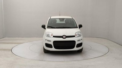 Fiat Panda 1.0 firefly hybrid s&s 70cv 5p.ti (8)