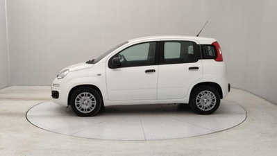 Fiat Panda 1.0 firefly hybrid s&s 70cv 5p.ti (2)