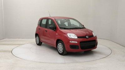 Fiat Panda 1.0 firefly hybrid s&s 70cv 5p.ti (7)
