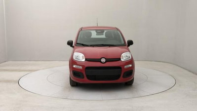 Fiat Panda 1.0 firefly hybrid s&s 70cv 5p.ti (8)