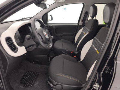 Fiat Panda Cross 1.0 firefly hybrid Cross s&s 70cv 5p.ti (11)