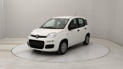 Fiat Panda 1.0 firefly hybrid s&s 70cv 5p.ti nuova