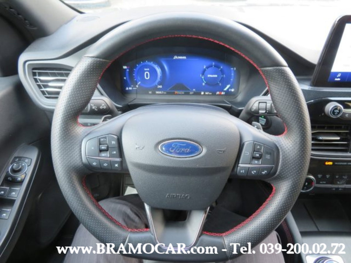 Ford Kuga 2.0 EcoBlue 120 CV aut. 2WD ST-Line X (17)