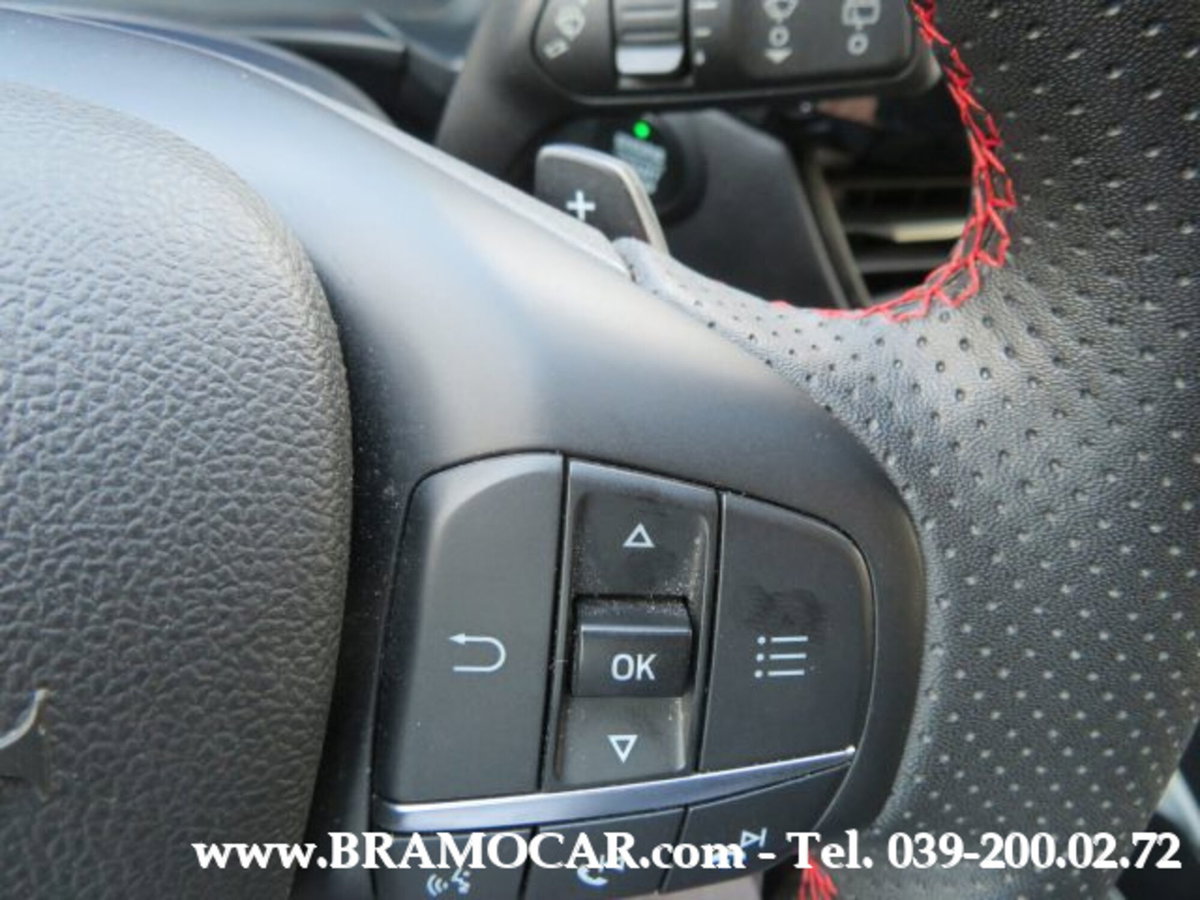 Ford Kuga 2.0 EcoBlue 120 CV aut. 2WD ST-Line X (19)