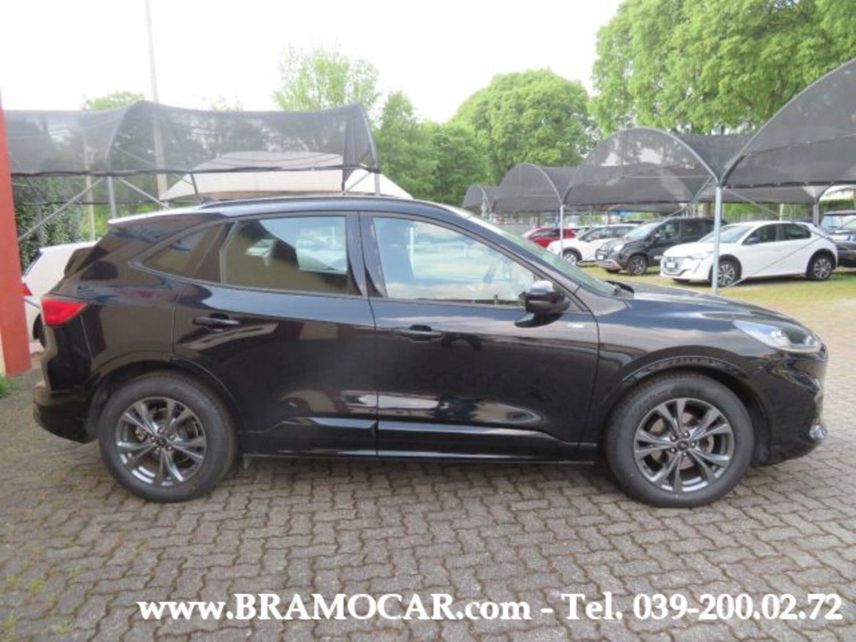 Ford Kuga 2.0 EcoBlue 120 CV aut. 2WD ST-Line X (5)