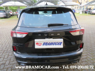 Ford Kuga 2.0 EcoBlue 120 CV aut. 2WD ST-Line X (7)