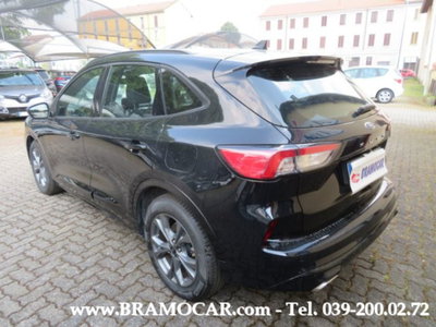 Ford Kuga 2.0 EcoBlue 120 CV aut. 2WD ST-Line X (8)