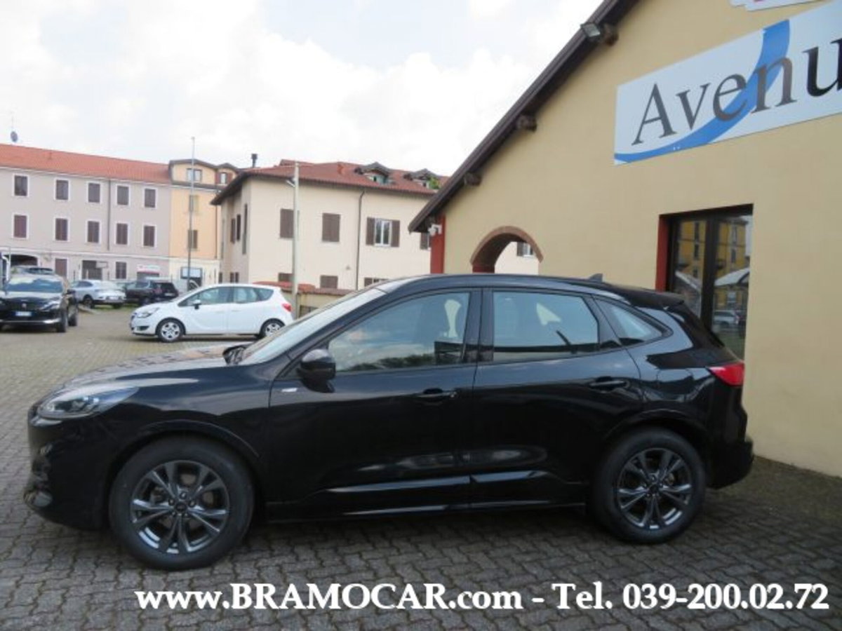 Ford Kuga 2.0 EcoBlue 120 CV aut. 2WD ST-Line X (9)