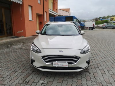 Ford Focus Station Wagon 1.5 EcoBlue 120 CV automatico SW Business Co-Pilot (10)