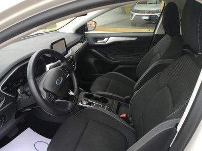 Ford Focus Station Wagon 1.5 EcoBlue 120 CV automatico SW Business Co-Pilot (12)