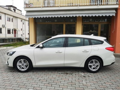 Ford Focus Station Wagon 1.5 EcoBlue 120 CV automatico SW Business Co-Pilot (2)