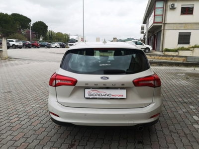 Ford Focus Station Wagon 1.5 EcoBlue 120 CV automatico SW Business Co-Pilot (4)