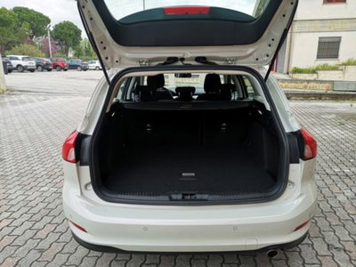 Ford Focus Station Wagon 1.5 EcoBlue 120 CV automatico SW Business Co-Pilot (6)