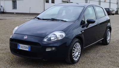 Fiat Punto 1.2 8V 5 porte Street (18)