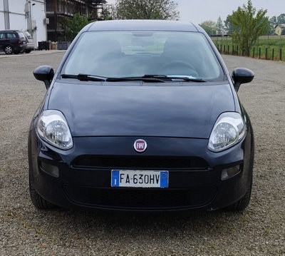 Fiat Punto 1.2 8V 5 porte Street (19)