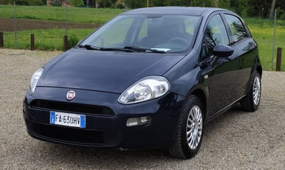 Fiat Punto 1.2 8V 5 porte Street (2)