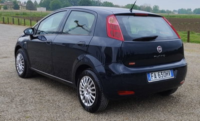 Fiat Punto 1.2 8V 5 porte Street (20)