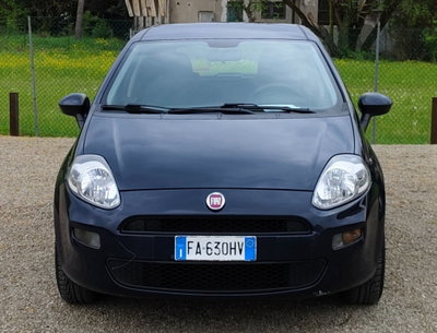 Fiat Punto 1.2 8V 5 porte Street (3)