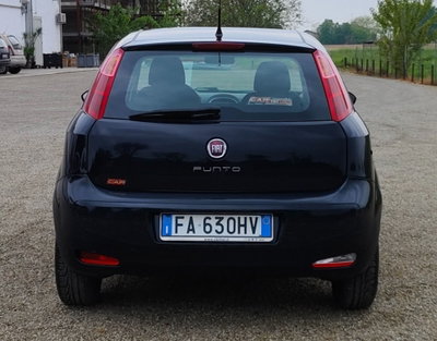 Fiat Punto 1.2 8V 5 porte Street (4)