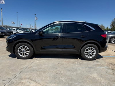 Ford Kuga 2.0 EcoBlue 120 CV aut. 2WD ST-Line X (5)