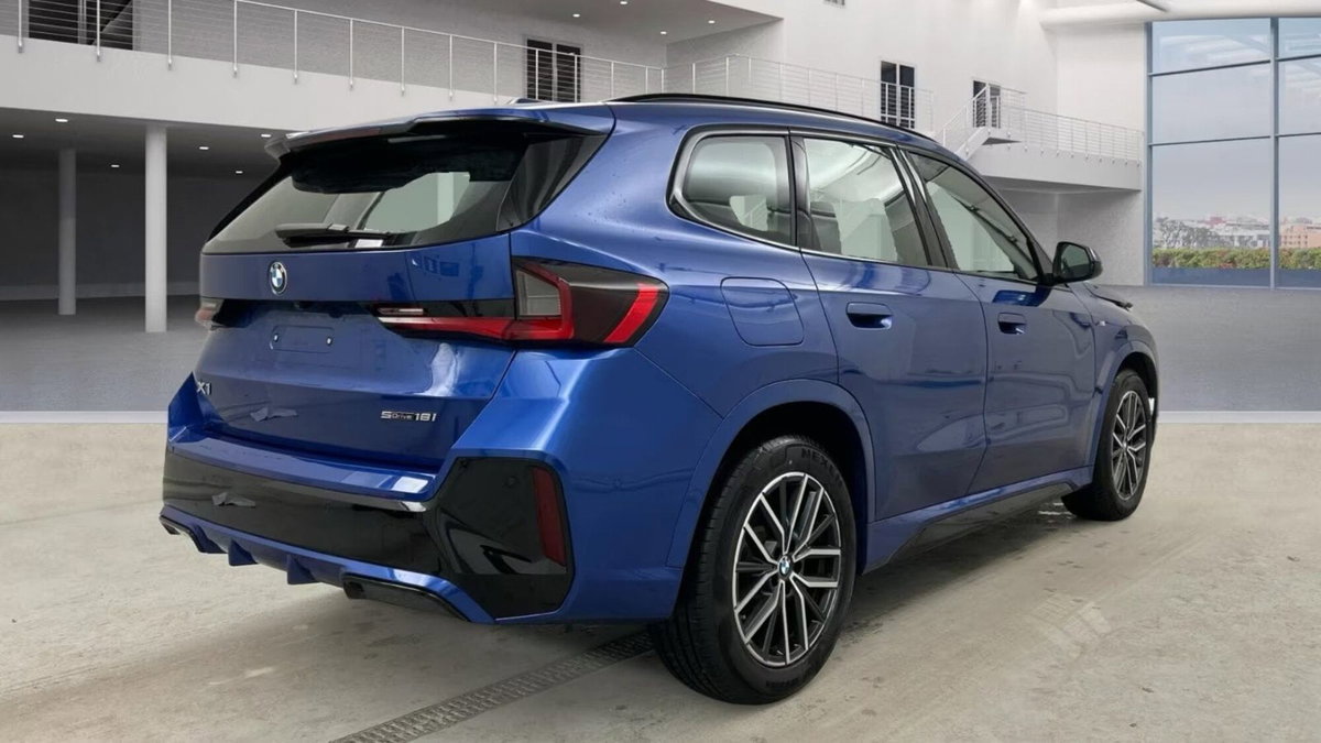 BMW X1 sDrive 18i Msport (4)