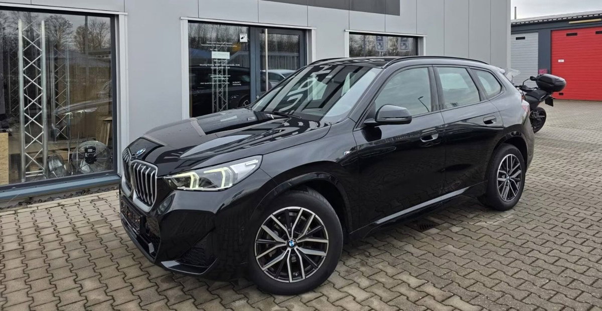 BMW X1 sDrive 18i Msport (2)