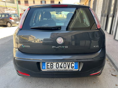 Fiat Punto Evo 1.4 5 porte Active Natural Power (6)