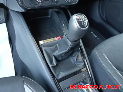 Skoda Kamiq 1.0 tsi Selection 95cv (14)