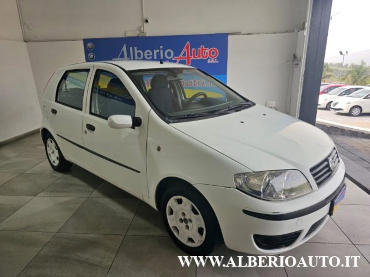 Fiat Punto 1.3 Multijet 16V 5 porte Active