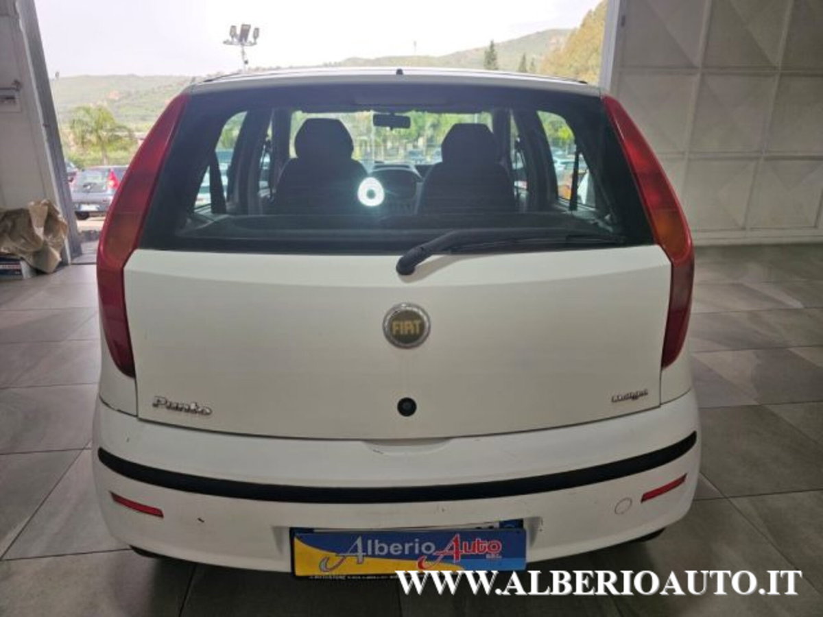 Fiat Punto 1.3 Multijet 16V 5 porte Active (2)