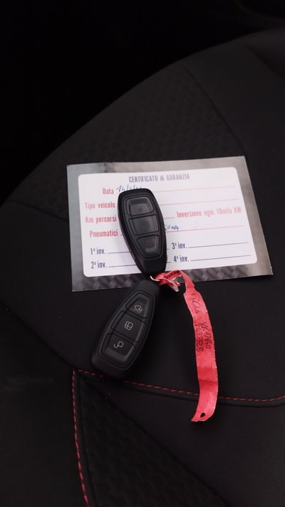 Ford Focus 1.5 TDCi 120 CV Start&Stop Powershift ST Line Business (9)