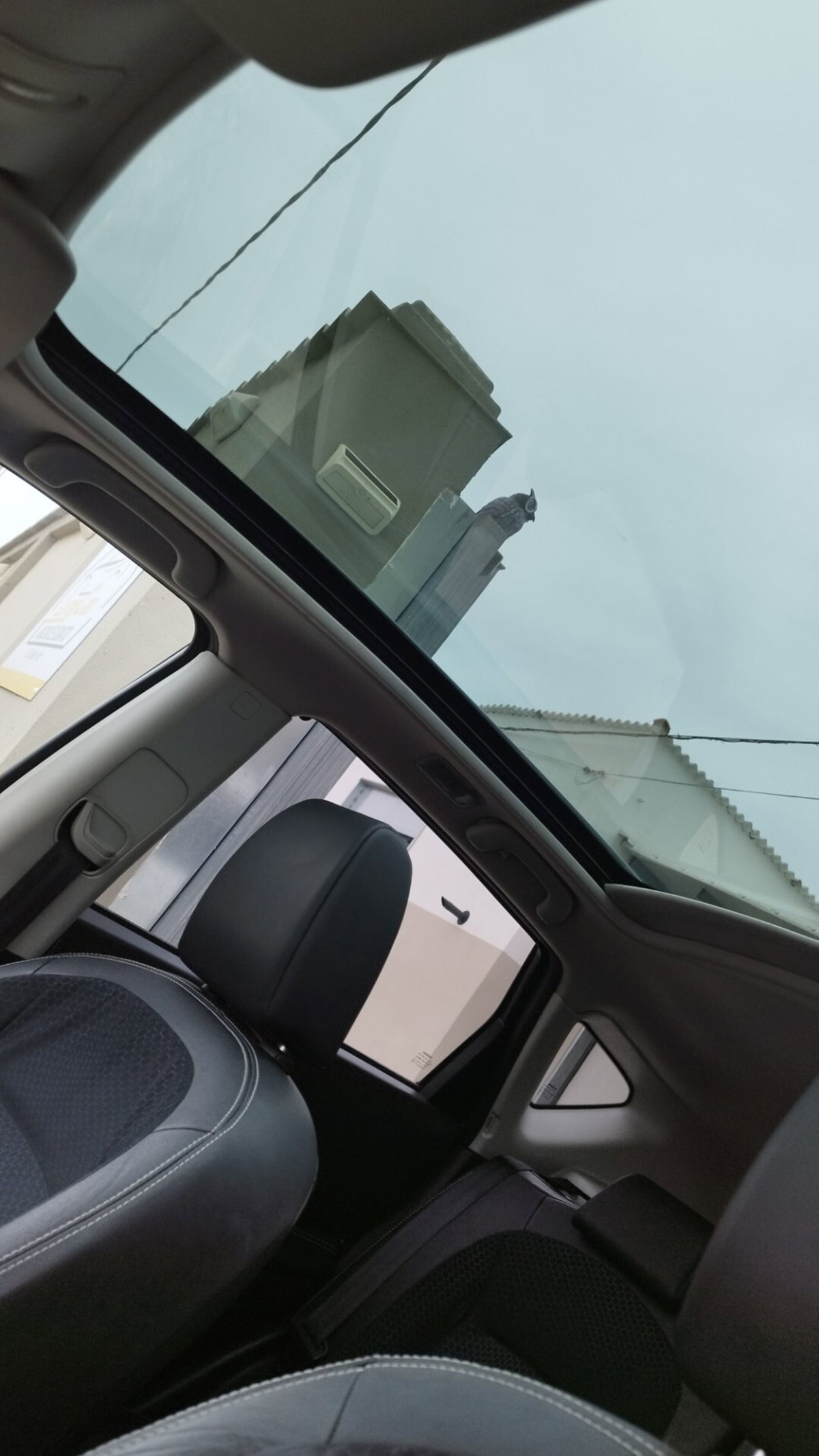Nissan Qashqai 1.5 dCi DPF Tekna (12)
