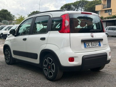 Fiat Panda 1.0 FireFly S&S Hybrid City Life (4)