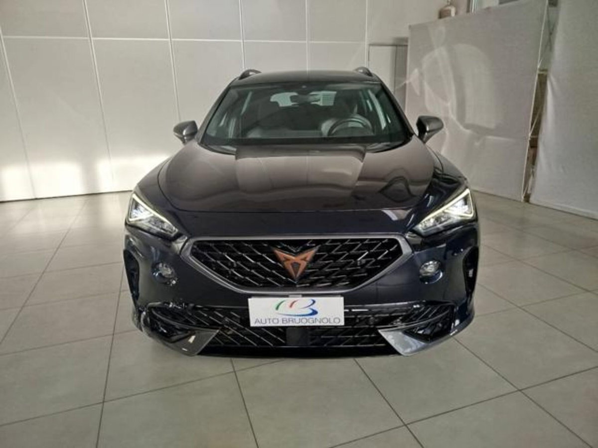 Cupra Formentor Formentor 1.5 TSI (5)