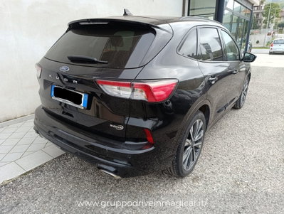 Ford Kuga 2.0 EcoBlue 120 CV aut. 2WD ST-Line X (3)