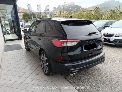 Ford Kuga 2.0 EcoBlue 120 CV aut. 2WD ST-Line X (4)