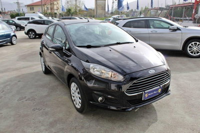 Ford Fiesta 1.4 5 porte Bz.- GPL Titanium (3)