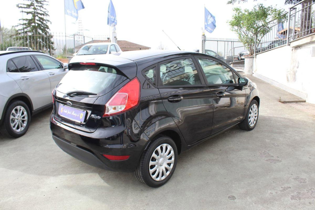 Ford Fiesta 1.4 5 porte Bz.- GPL Titanium (4)