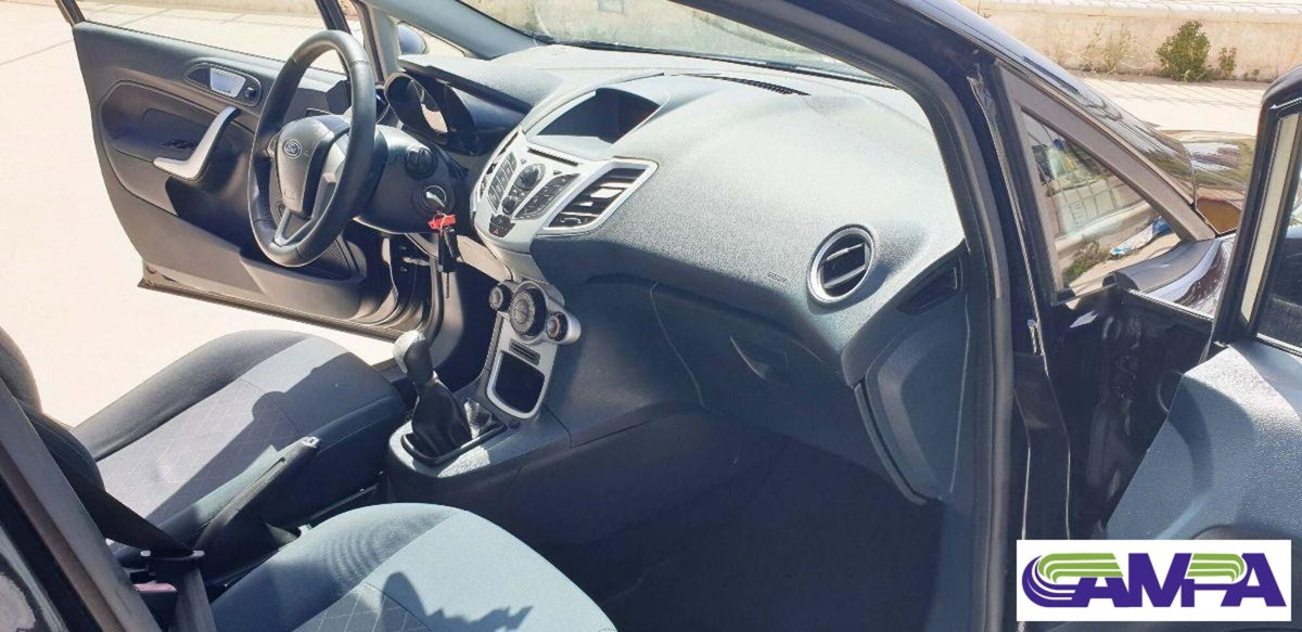 Ford Fiesta 1.2 60CV 5 porte Titanium (11)