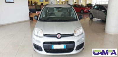 Fiat Panda 1.3 MJT S&S Easy (2)